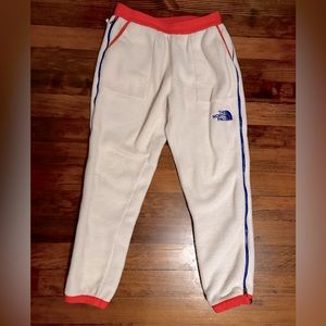 The Northface Fleece Recycled color block jogger